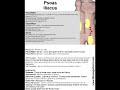 Psoas Trigger Points