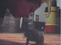 Koopa trick attempt