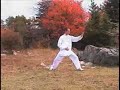 Chen Style Taijiquan (Introductory Form)