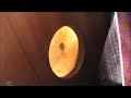 Tim Eriksen: Sugar Baby on Fretless Banjo in Times Square Tim Eriksen: Sugar Baby on Fretless Banjo in Times Square