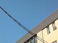 Aerosol Scatterings over Montreal in 2007 (Chemtrails)