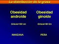 Obesidad y riesgo cardiovascular