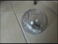 Hamster et souris