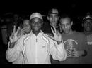 Bonde do krt