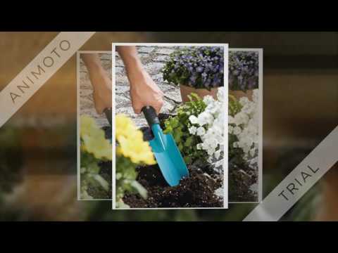 Was tun bei Pilzen im Rasen?