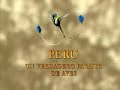 perú un verdadero paraiso de aves ¿que más podemos pedir?