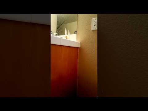 Waypoint Homes - Extreme negligence and terrible service from Jesse