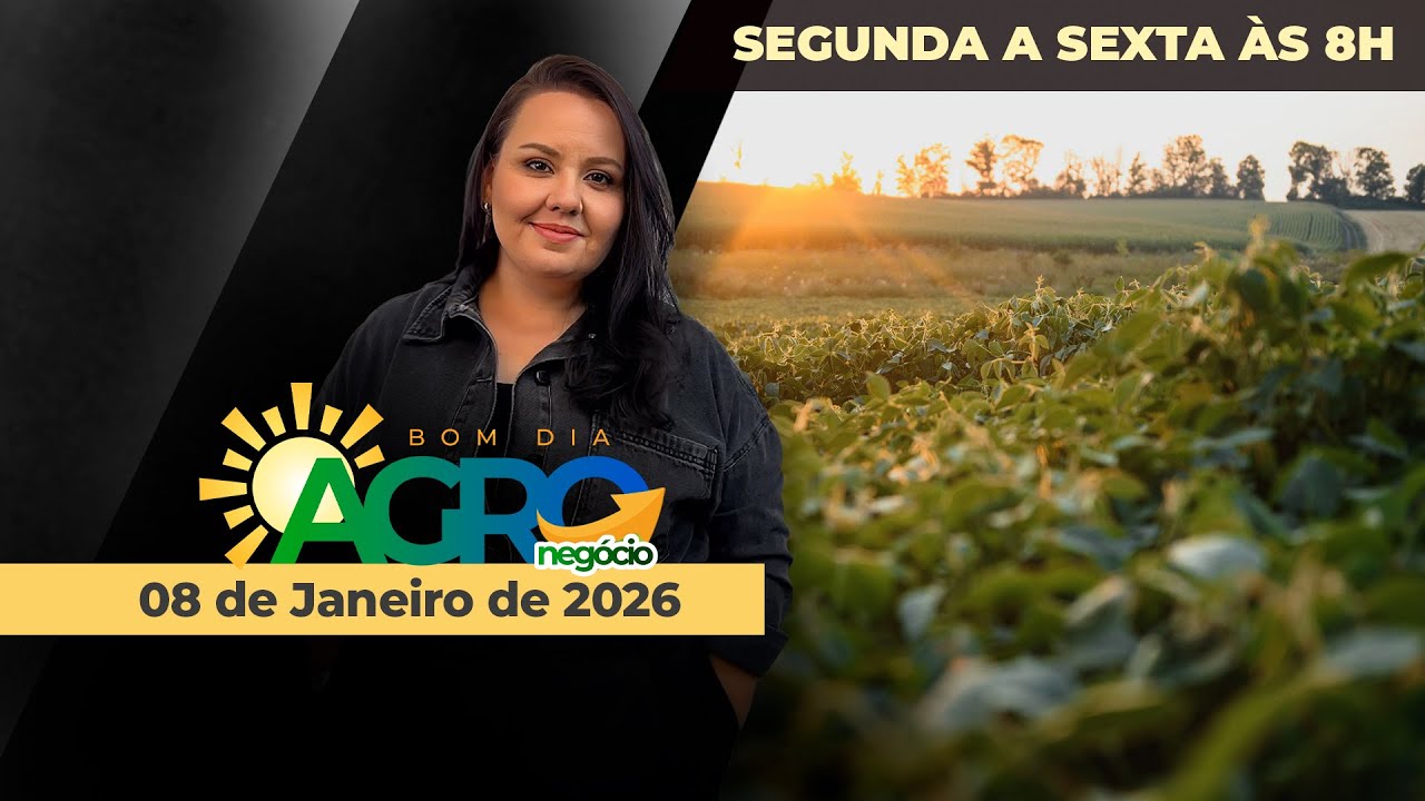BOM DIA AGRONEGÓCIO: Como estão os preços da soja no Brasil?