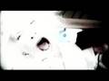clip video Animal Alpha Most Wanted Cowboy