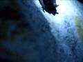 Bat ( flaggermus ) ( ledurblaka ) Bat ( flaggermus ) ( ledurblaka )