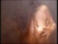 Presentazione-Mostra