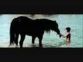 The Black Stallion - Who's Got What it Takes