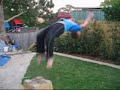 Cool Flips