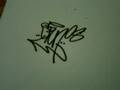 Quick tag for stun one