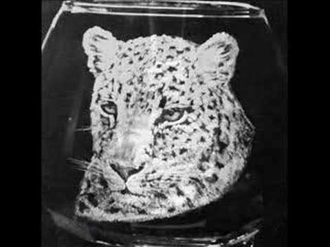 Leslie Glass