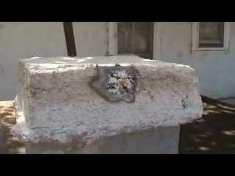 Papercrete Flame Test