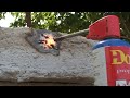 Papercrete Flame Test