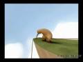 videos de Kiwi.mp4