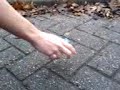 reclame filmpje maatschapijleer