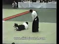 steven seagal akido expo 1993