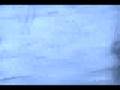 videos de *WATCH!* IT'S A BIRD! *WATCH*