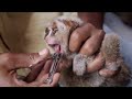 See Video