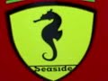 sleyv T.V. by coastal all the day from dade county sleyv T.V. by coastal all the day from dade county