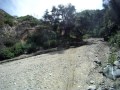 El Prieto - 382 - 