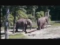 Beliefnet at the Bronz Zoo - Part 3 of 6