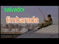 timbalada in salvador from pulse, stomp odyssey