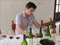 Enoturismo en La Rioja.wmv