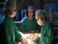 Green Wing - Vital Organs