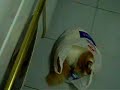 Gata embolsada Gata embolsada
