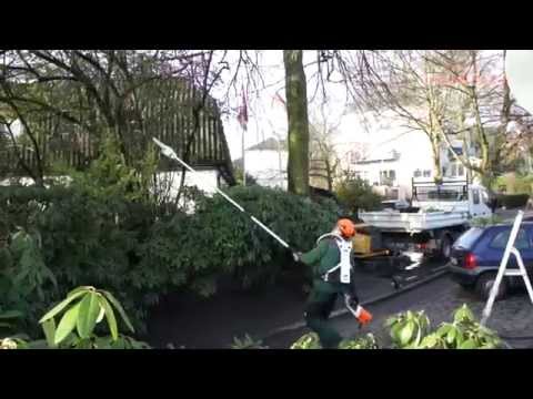 Produkttest: Akku-Hochentaster STIHL HTA 85