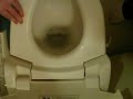 Japanese Washlet .....