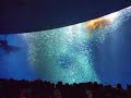 DSCF0441