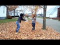 Why are leaves green?
