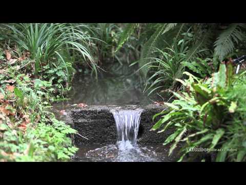 Relaxing Sounds of a Flowing Stream, suoni rilassanti della natura Acufeni terapia