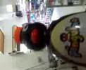 pinguin fidelense pinguin fidelense
