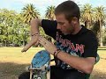 Dane Burman nollie frontside heelflip tricktip