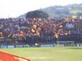 dale benevento