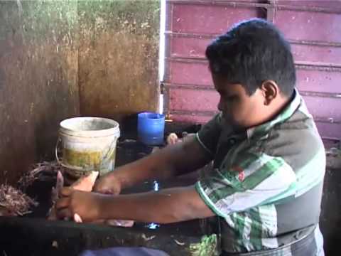 Kadarkarai thagam Flim about child labour short film Kadarkarai thagam Flim about child labour short film