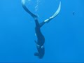 Freedive Fun New Fins pt2.wmv