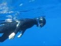 Freedive Fun New Fins pt2.wmv