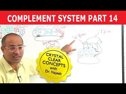 Complement System - Immunology - Part 14/18