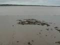 Scenes across the Humber