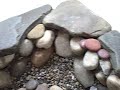 How To Construct An Indoor Pond How To Construct An Indoor Pond