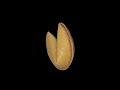Click here to watch this video funny fortune cookie - 15