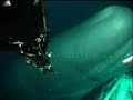 Big whale came very close under a ROV operation!