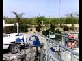 De chopo a bonsai